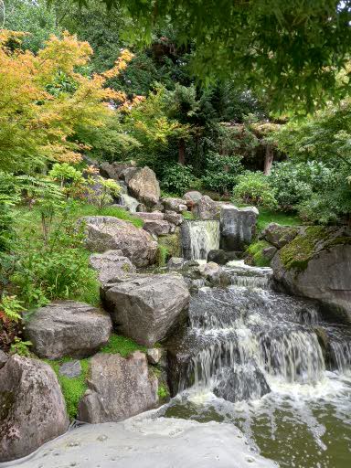 Kyoto Garden