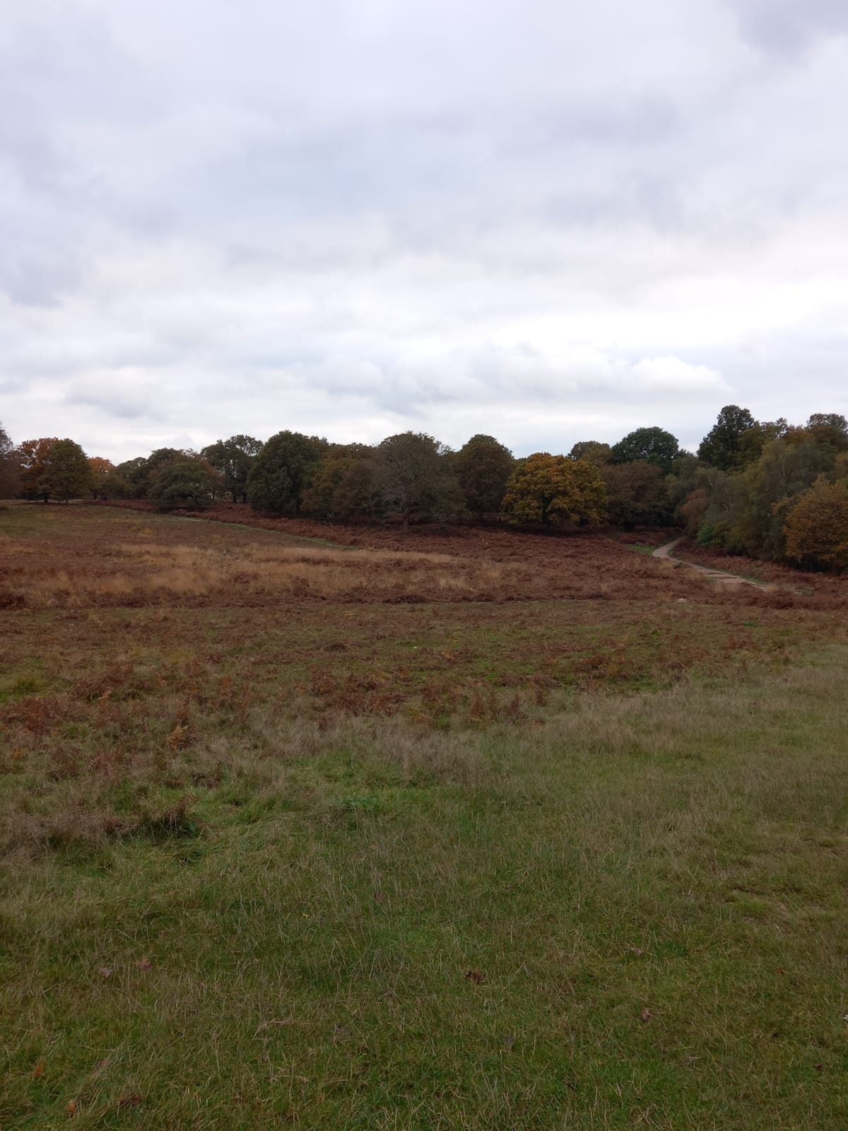 Richmond Park