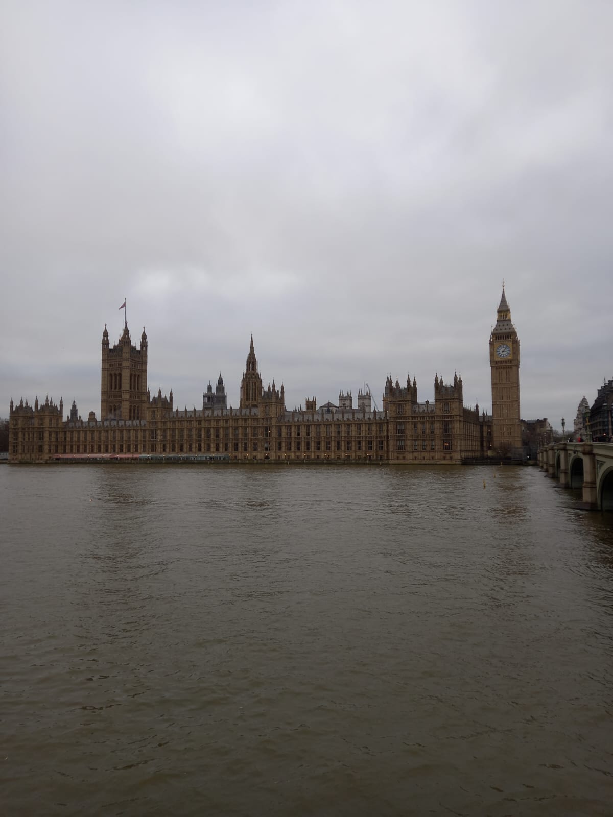 The Palace of Westminster